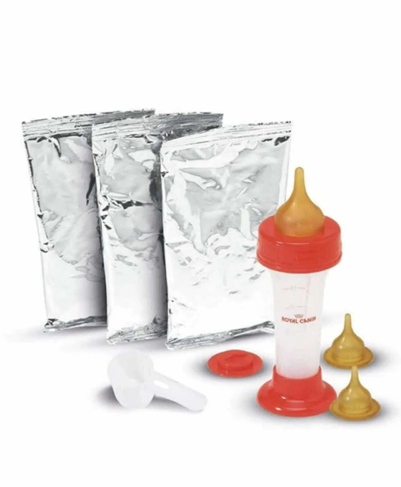 Royal canin Babycat Milk 300GR + BIBERON