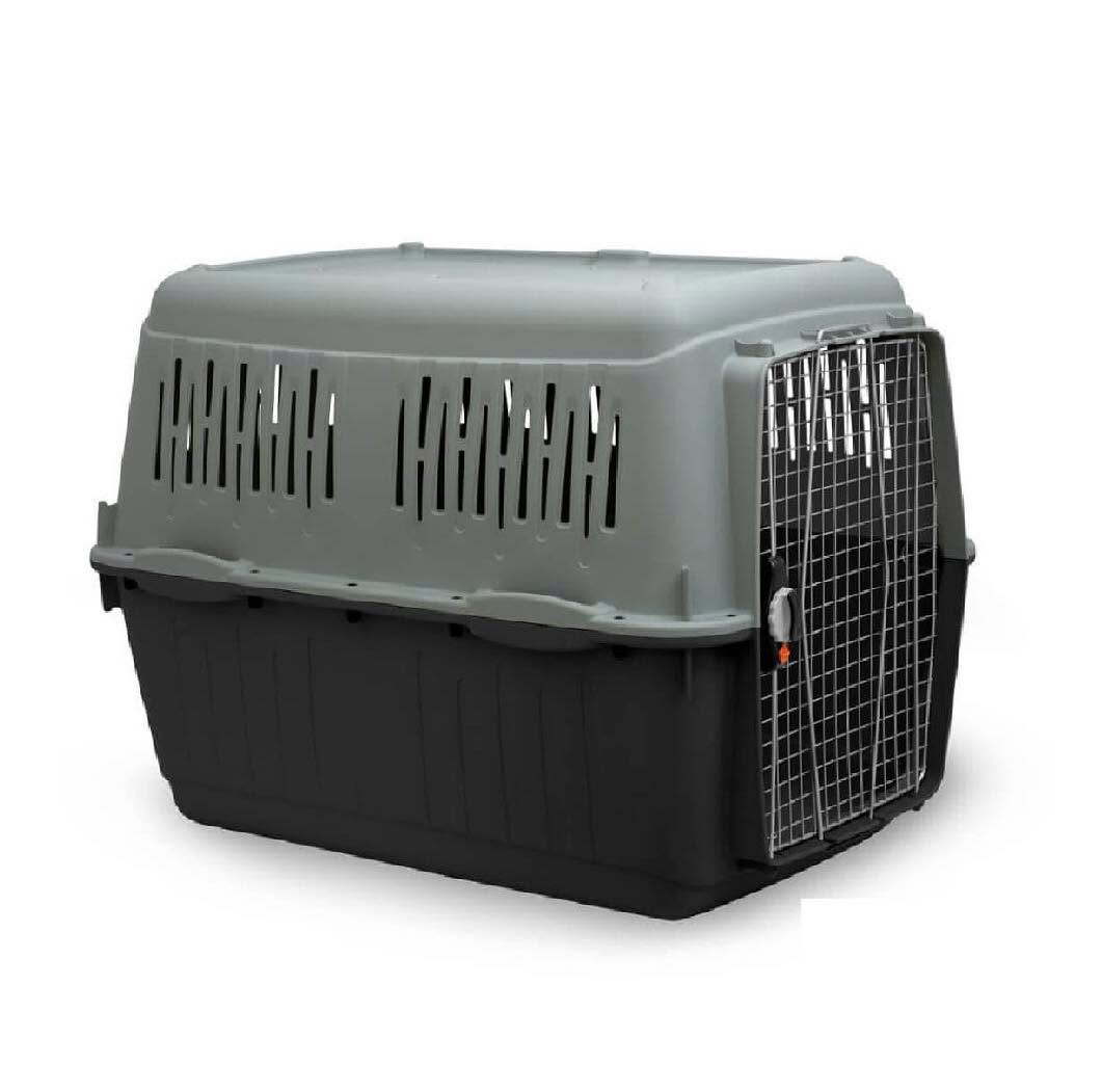 Felican cage de transport BRACCO travel 7 plastique