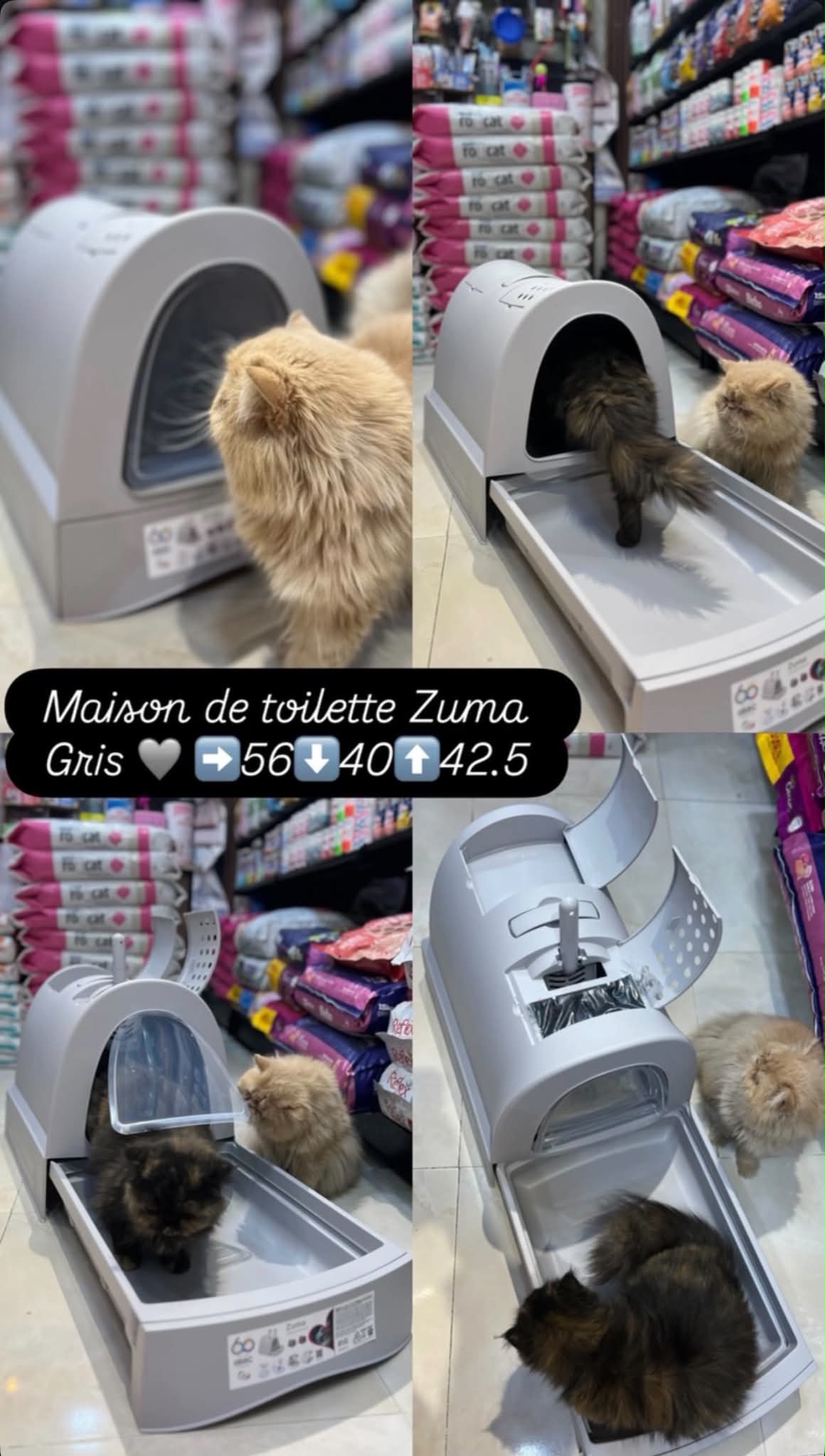 Maison de toilette avec Tiroir ZUMA (livraison gratuite)