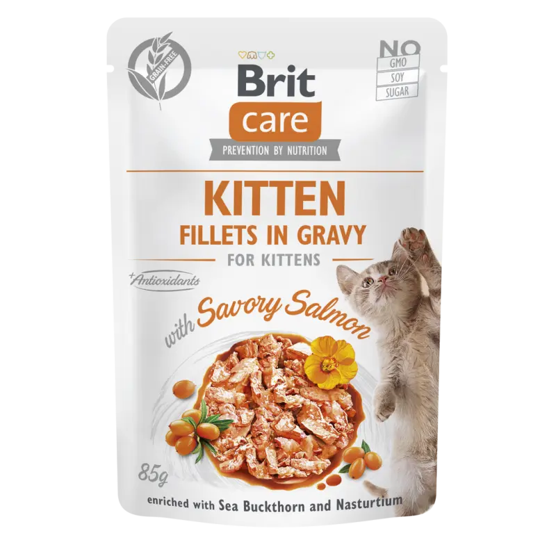 Pochon Brit care chaton filet saumon en sauce 85G