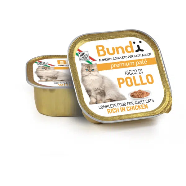 BARQUETTE BUNDY POULET 90gr