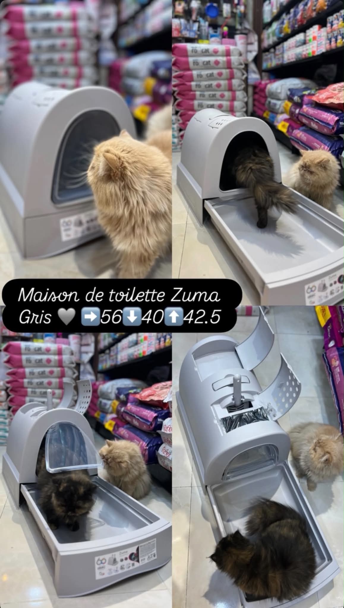 Maison de toilette avec Tiroir ZUMA Gris