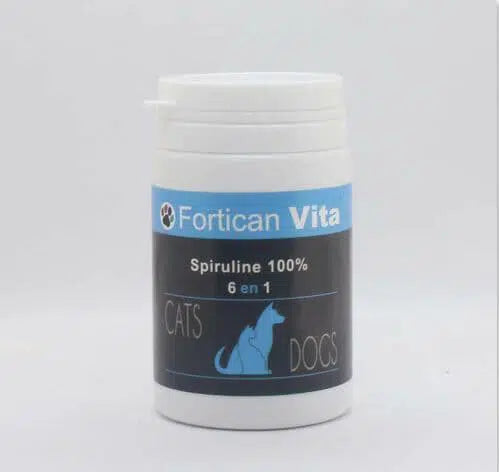 FESTIN FORTICAN VITA 6EN1 60 CPS
