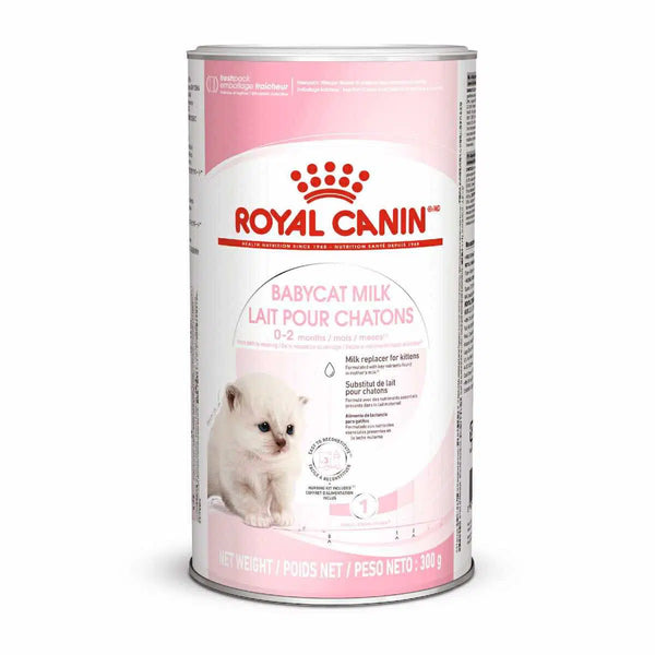 Royal canin Babycat Milk 300GR + BIBERON