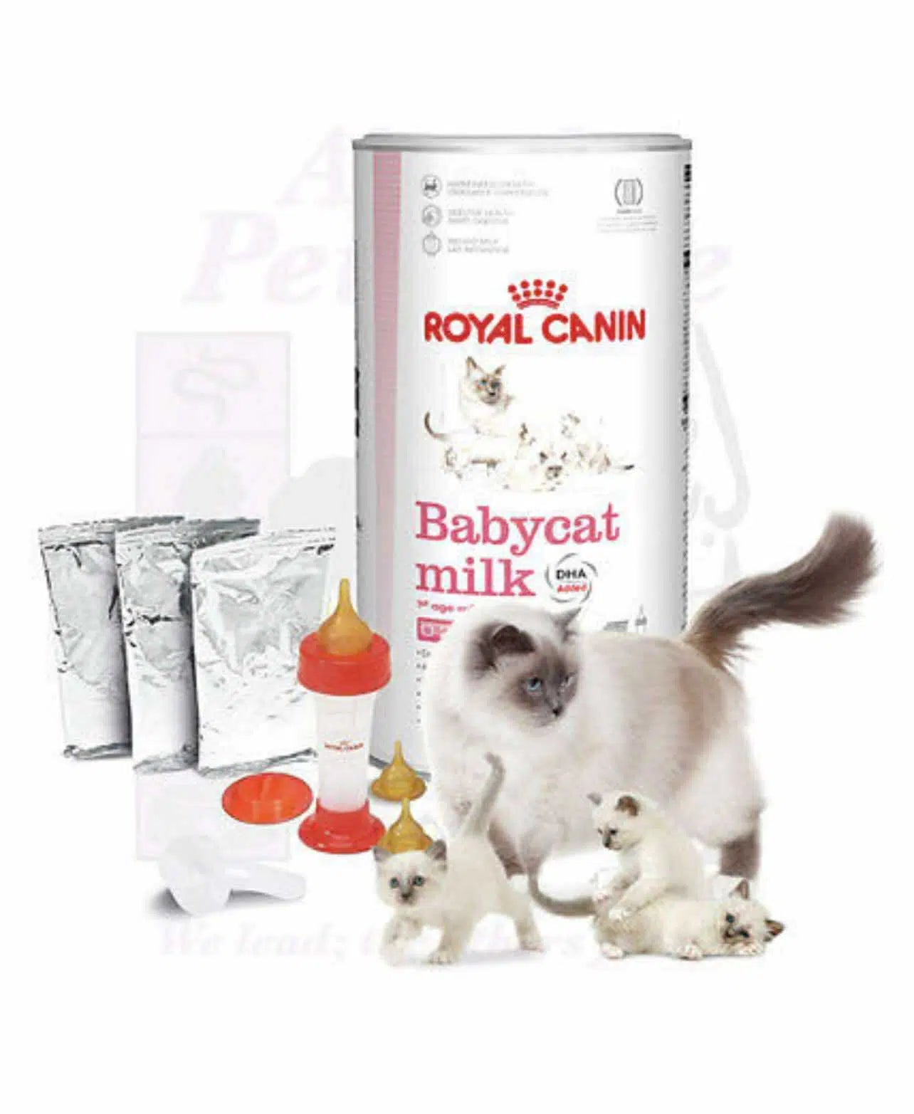 Royal canin Babycat Milk 300GR + BIBERON