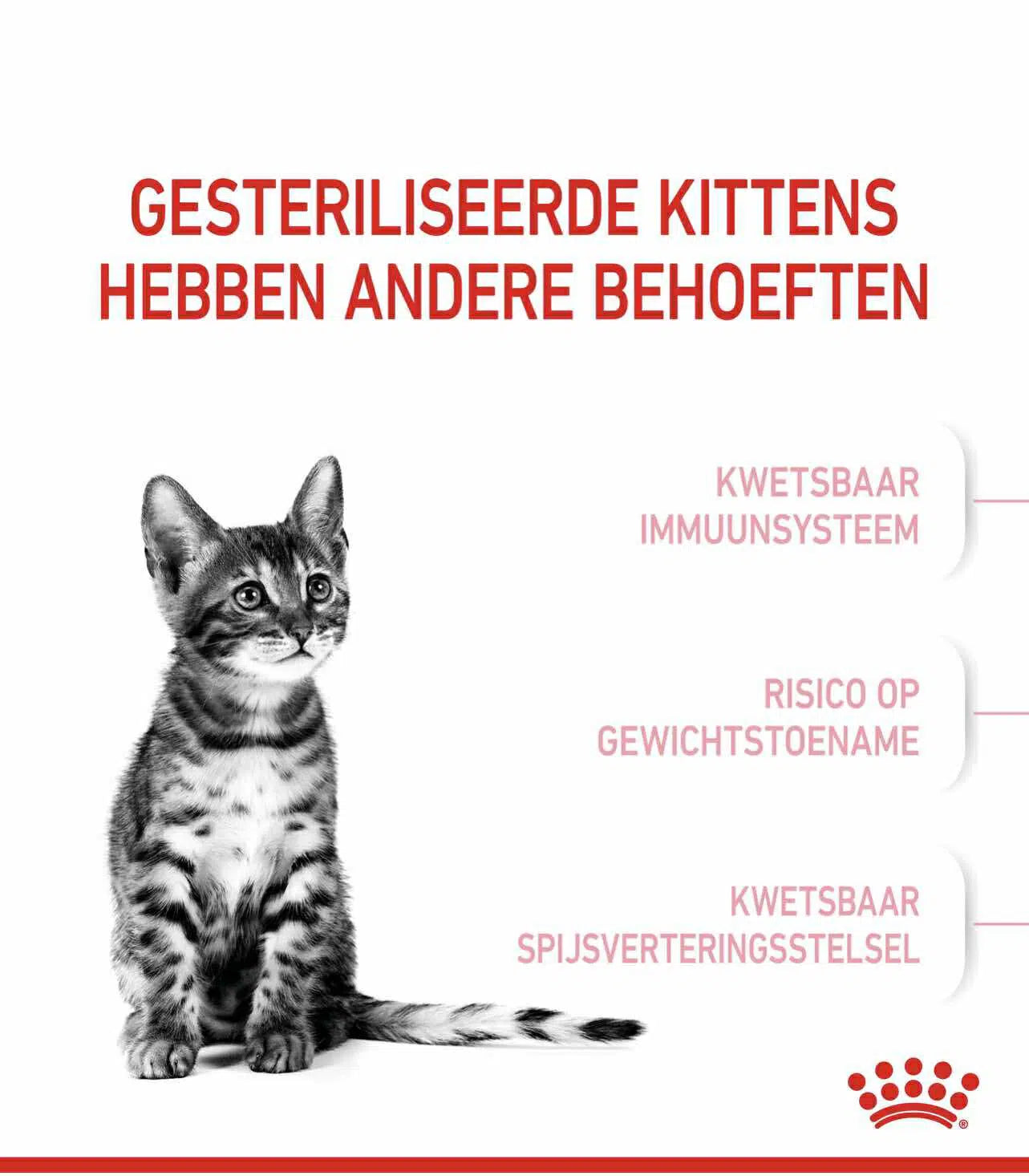Royal Canin Kitten sterilised 2kg