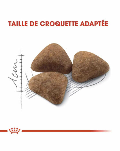 Royal Canin chat Indoor 2kg