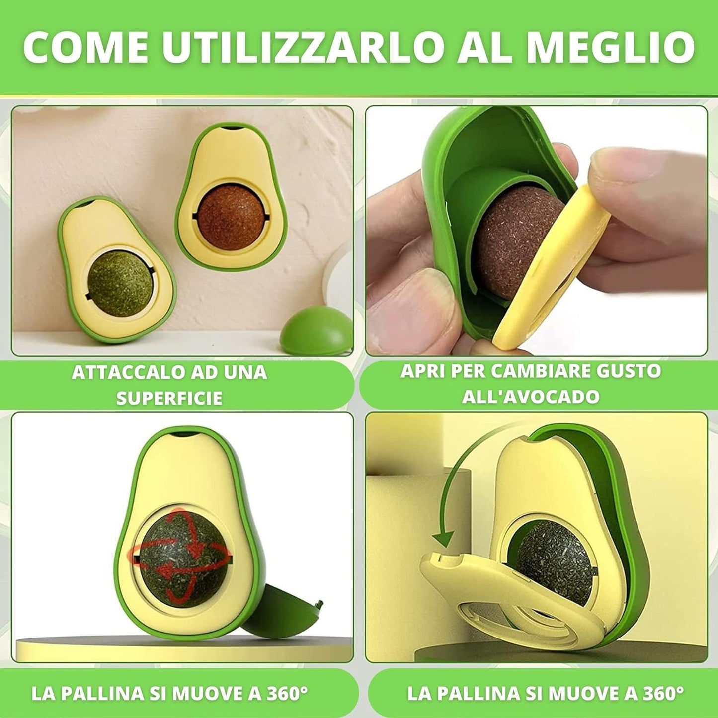 AVOCADO CATNIP - Herbe À Chat
