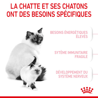 Royal Canin Mother & Babycat 2kg