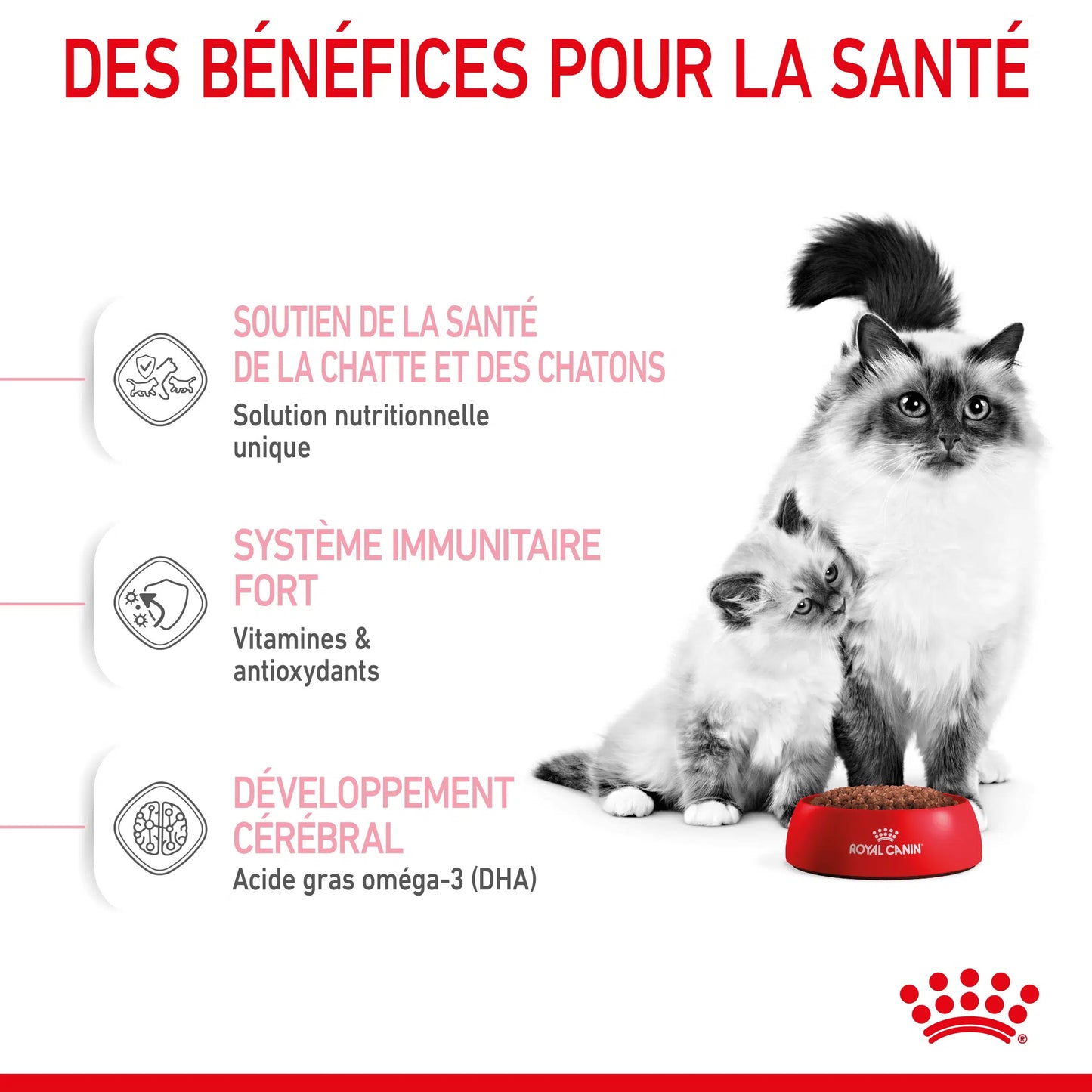 Royal Canin Mother & Babycat 2kg