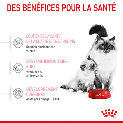 Royal Canin Mother & Babycat 2kg