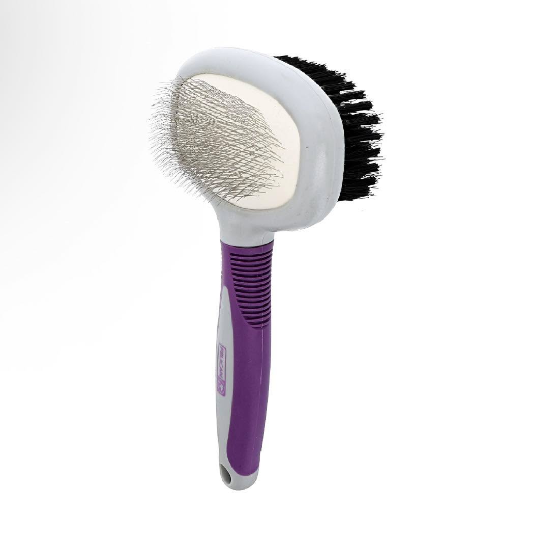 Felican brosse ovale double