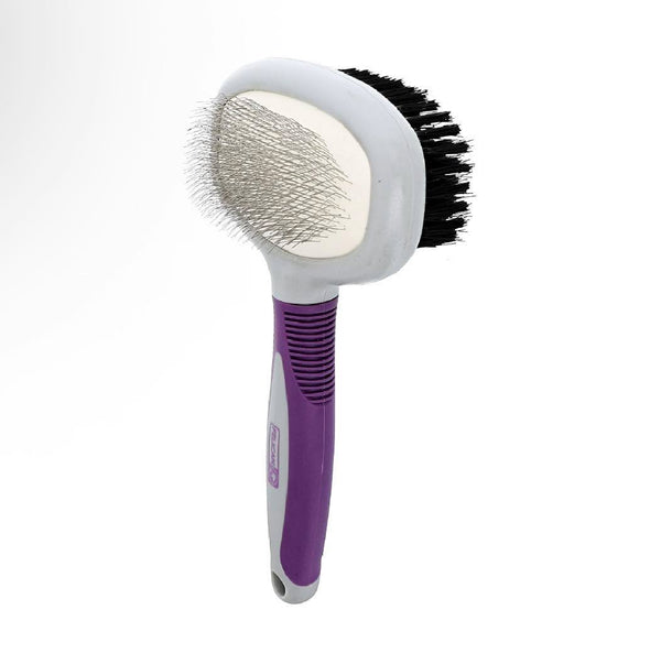 Felican brosse ovale double