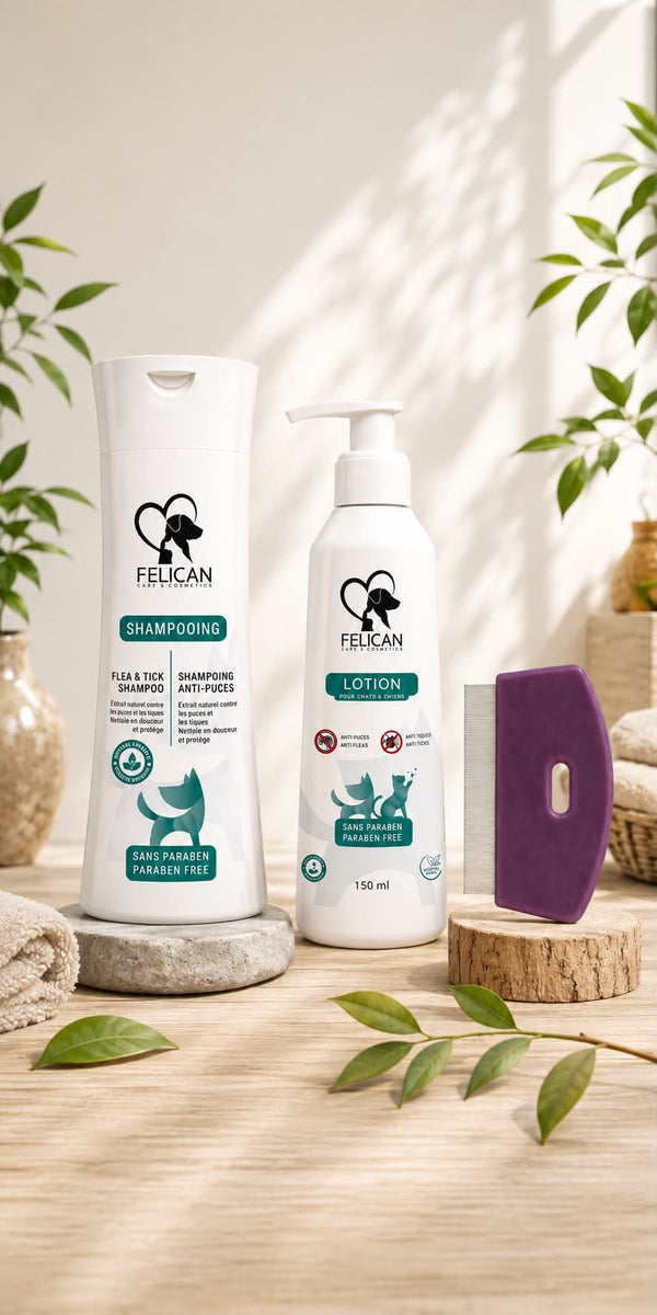 Pack Anti-Puces complet (shampooing + lotion + peigne)