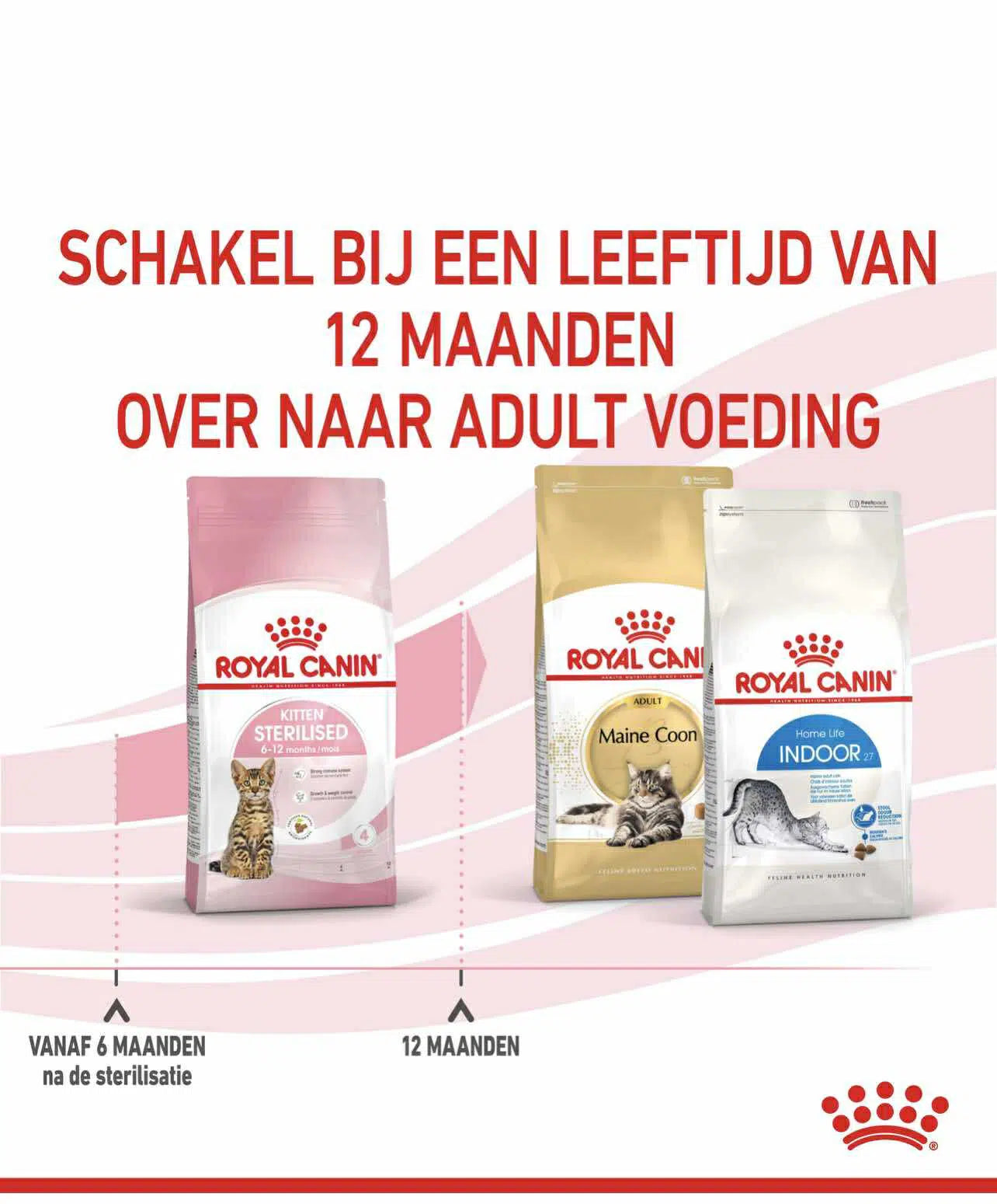 Royal Canin Kitten sterilised 2kg