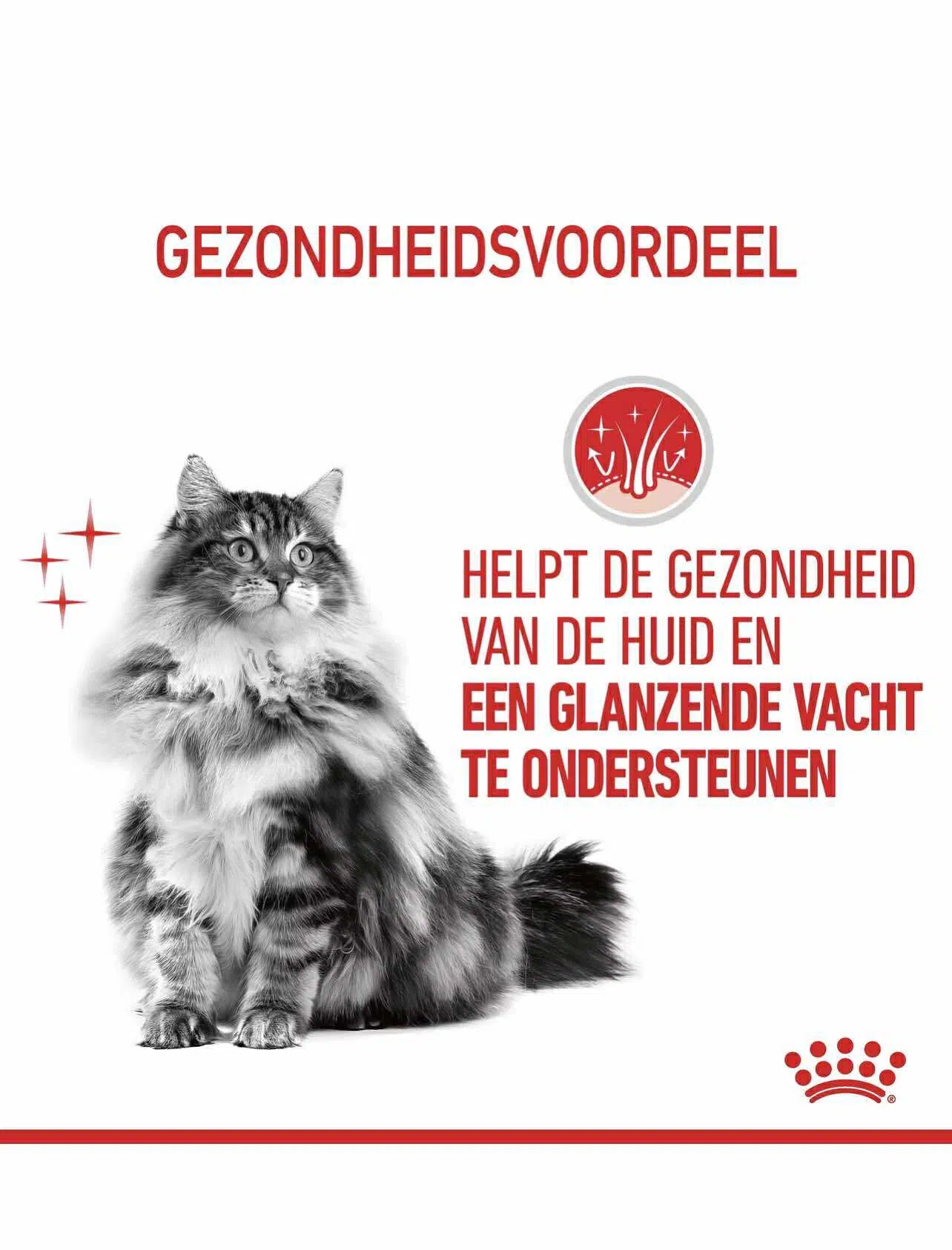 Royal Canin chat HAIR & SKIN CARE 2kg