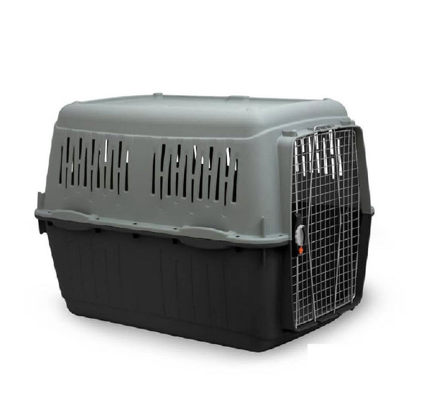 Felican cage de transport BRACCO travel 7 plastique