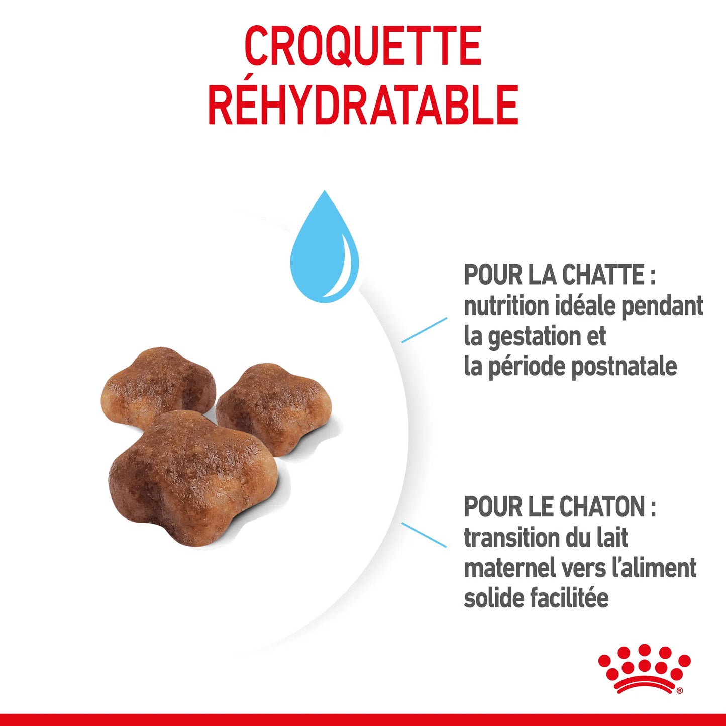 Royal Canin Mother & Babycat 2kg