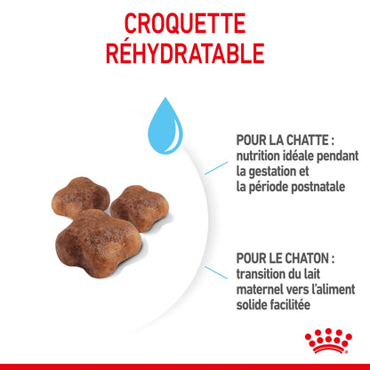 Royal Canin Mother & Babycat 2kg