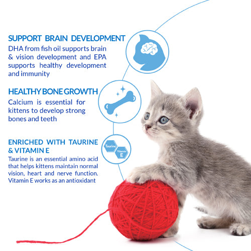INABA CHURU CREAMY SNACK FOR KITTEN 4*14gr