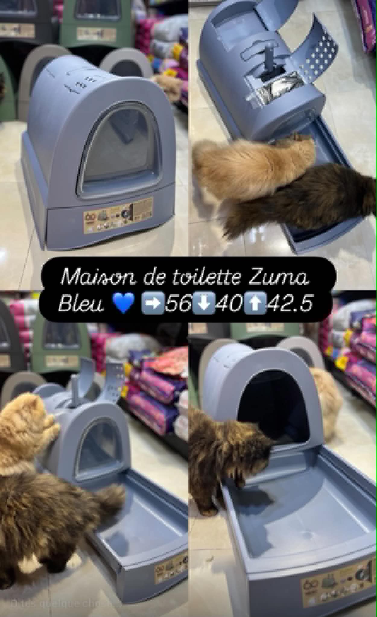 Maison de toilette avec Tiroir ZUMA Avio Bleu
