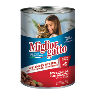 Miglior Gatto Boeuf en Sauce 405gr