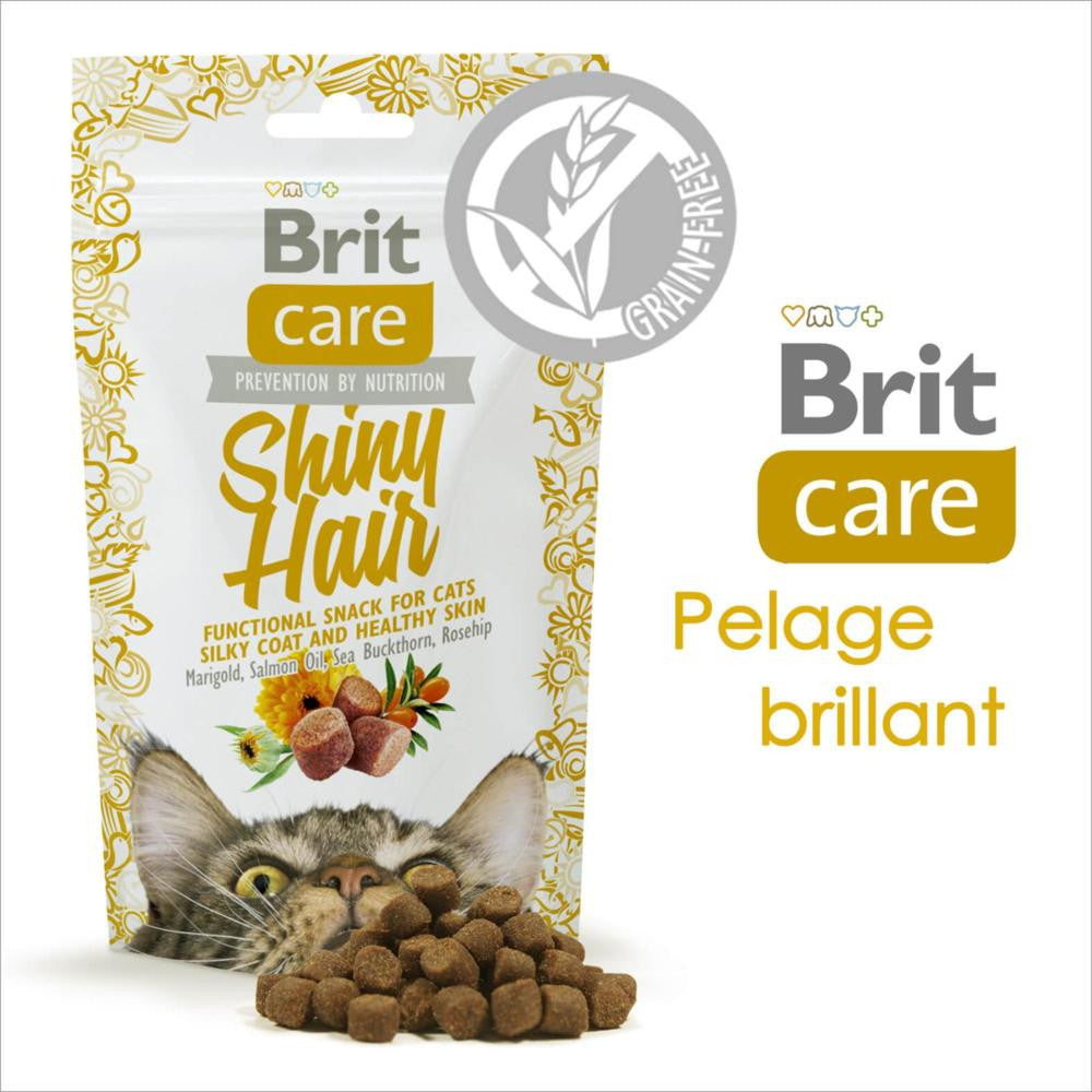 BRIT CARE FRIANDISE CHAT SHINY HAIR 50g