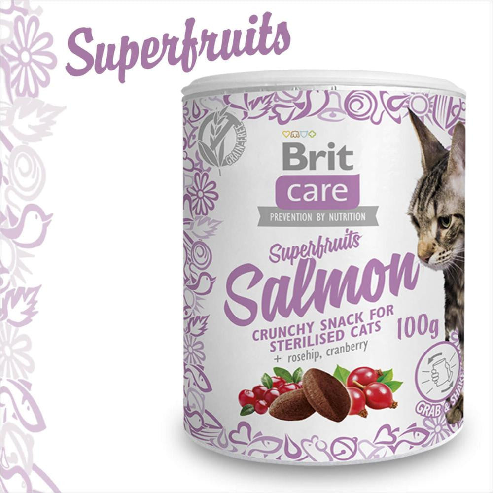 BRIT CARE FRIANDISE SUPERFRUITS 100g STERILISED - saumon