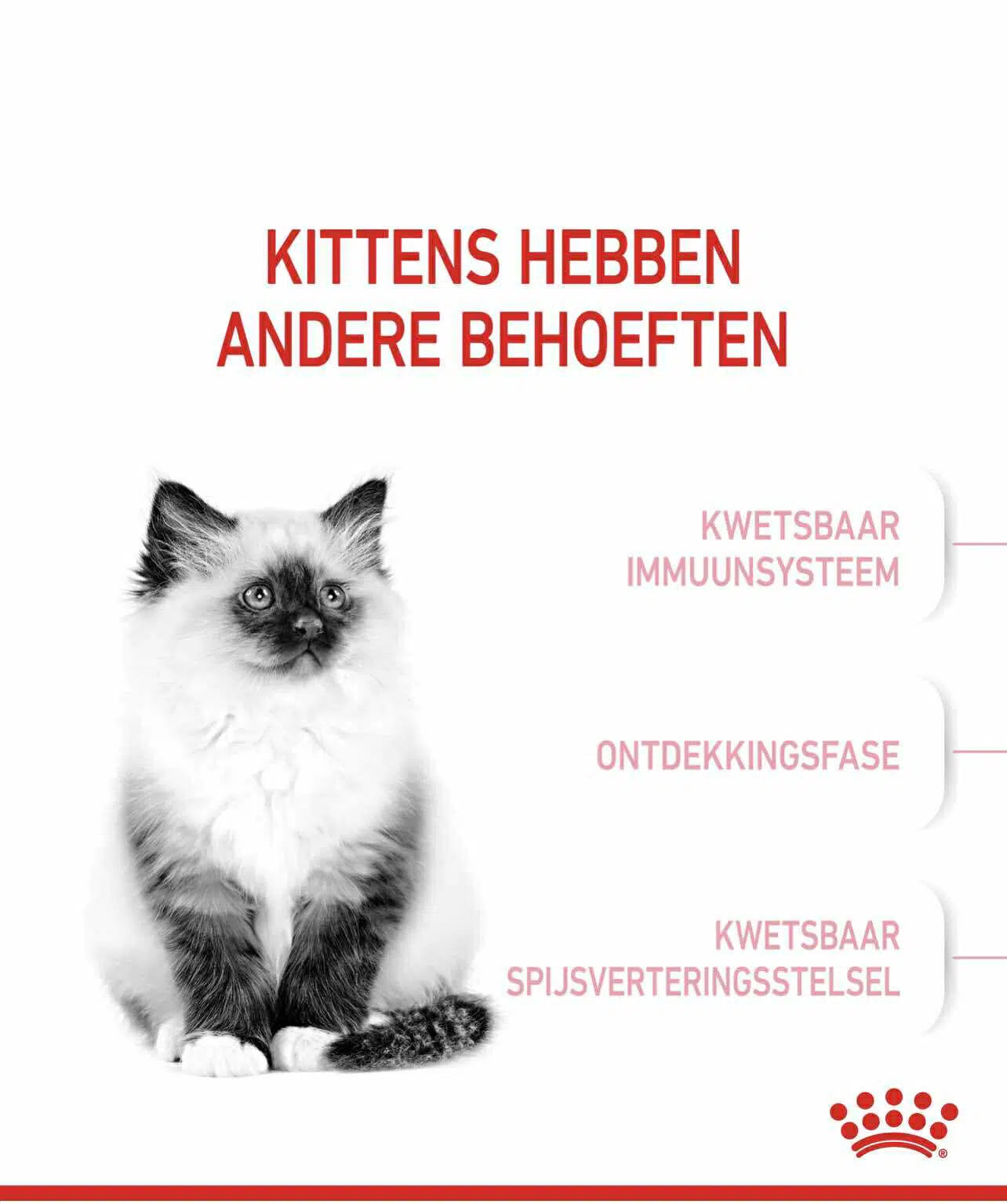 Royal Canin Kitten 400gr/2kg/10 kg