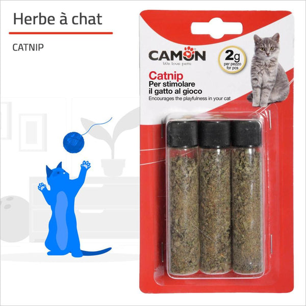 CATNIP HERBE A CHAT CAMON