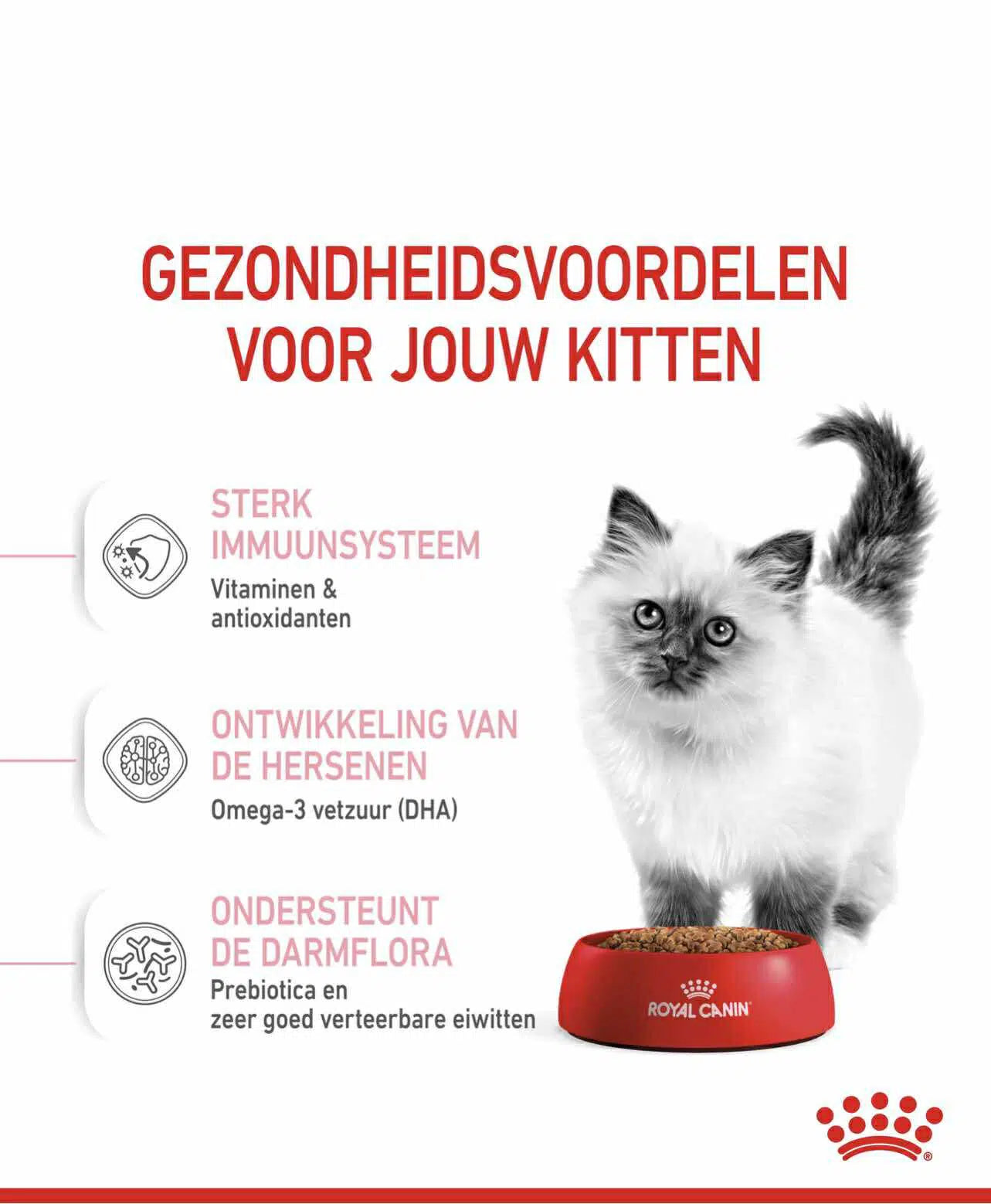 Royal Canin Kitten 400gr/2kg/10 kg