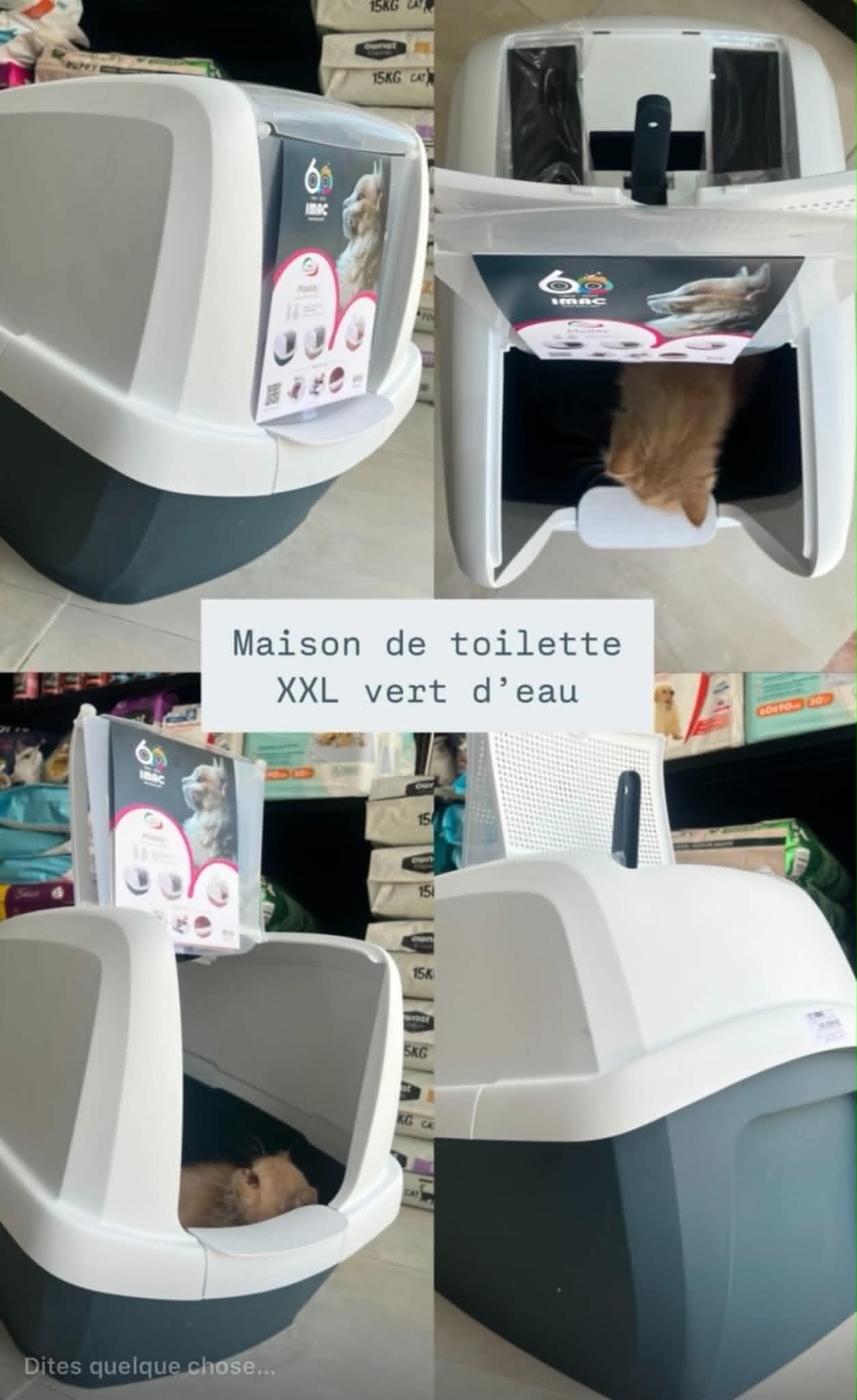 Maddy Maison de toilette XXL vert d'eau