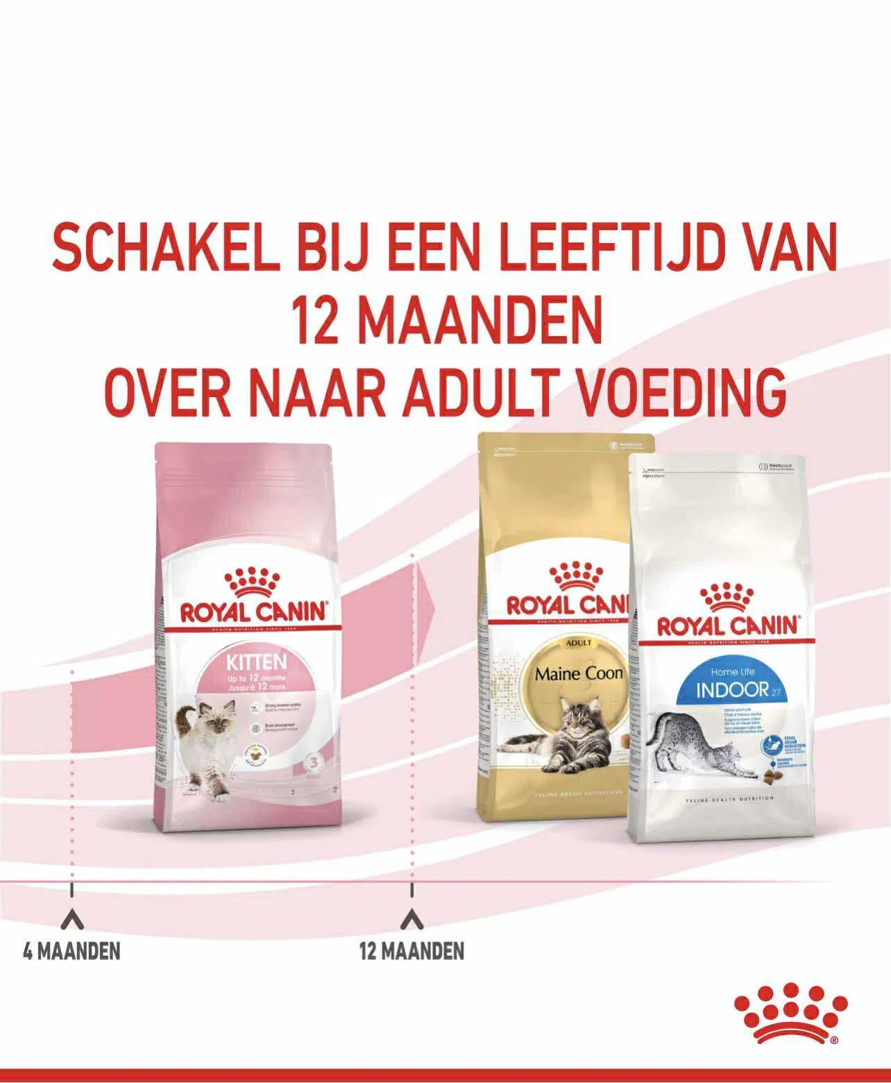 Royal Canin Kitten 400gr/2kg/10 kg