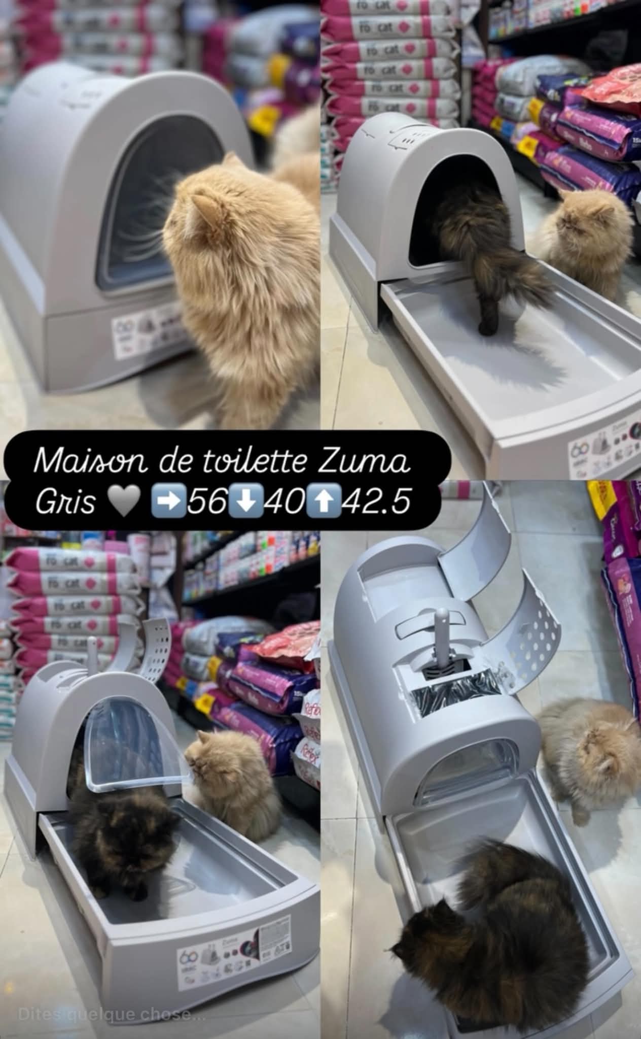 Maison de toilette avec Tiroir ZUMA Gris