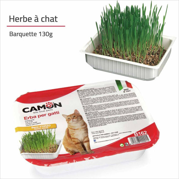 HERBE A CHAT EN BARQUETTE CAMON - 130g