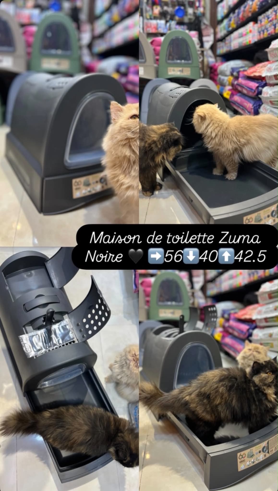 Maison de toilette avec Tiroir ZUMA (livraison gratuite)