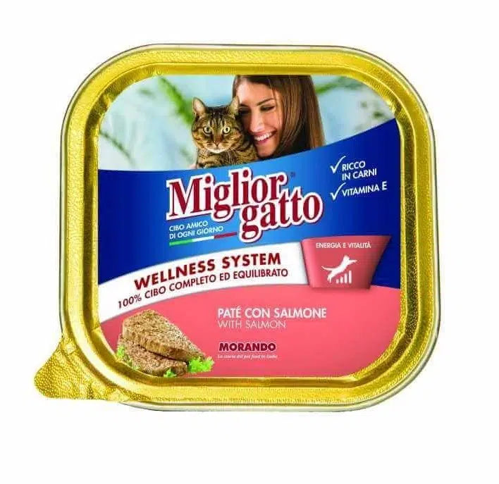 Miglior gatto Paté Au Saumon 100gr