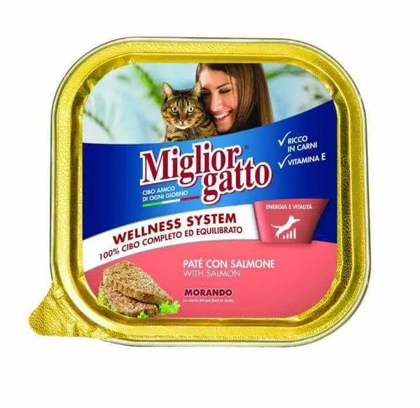 Miglior gatto Paté Au Saumon 100gr