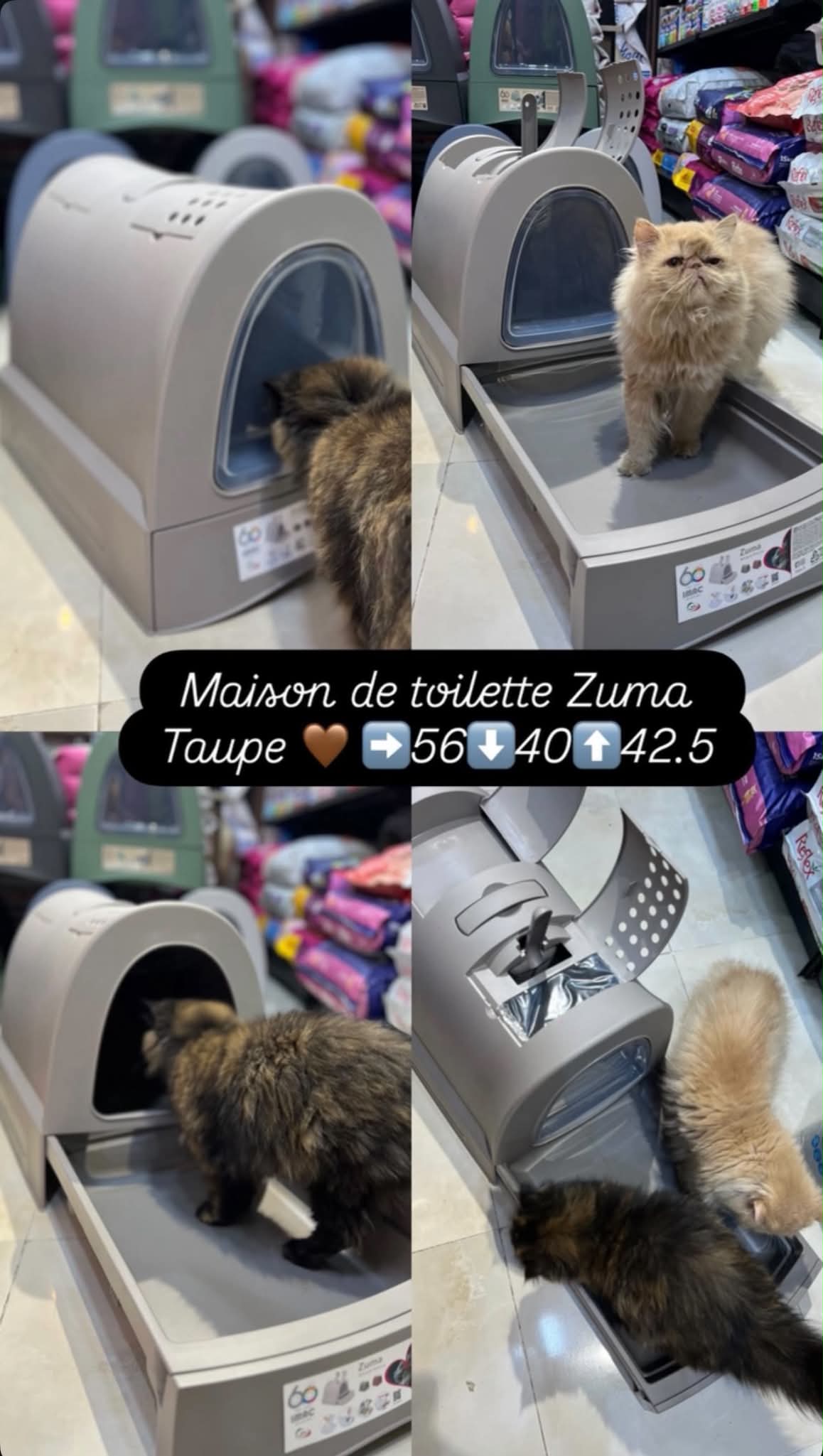 Maison de toilette avec Tiroir ZUMA (livraison gratuite)