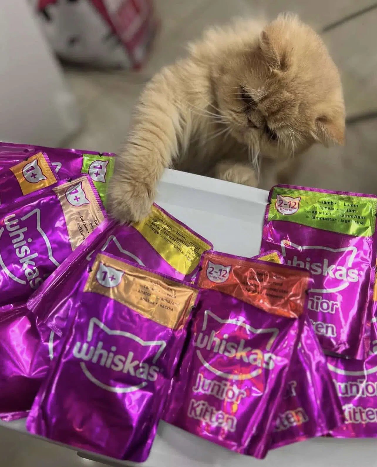 WHISKAS pochon 85gr